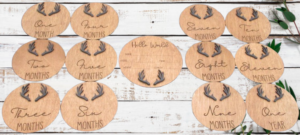 Deer Antler 13pc Milestone Marker Set
